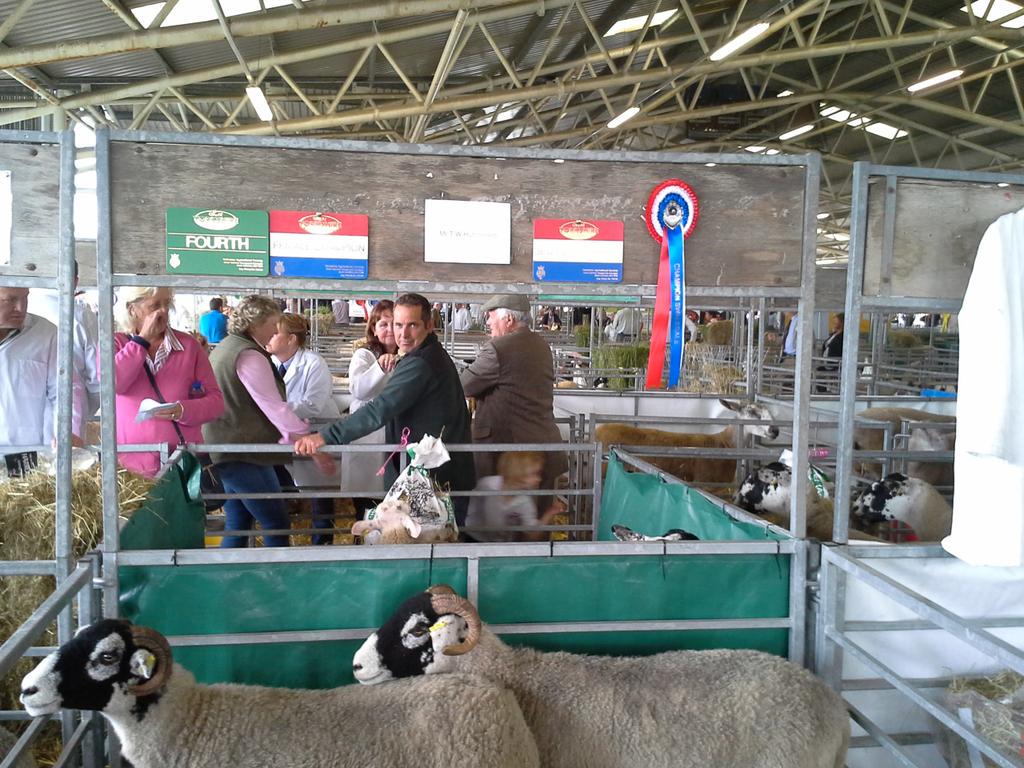 Fab day, over the moon <a href="/greatyorkshow/">Great Yorkshire Show</a>