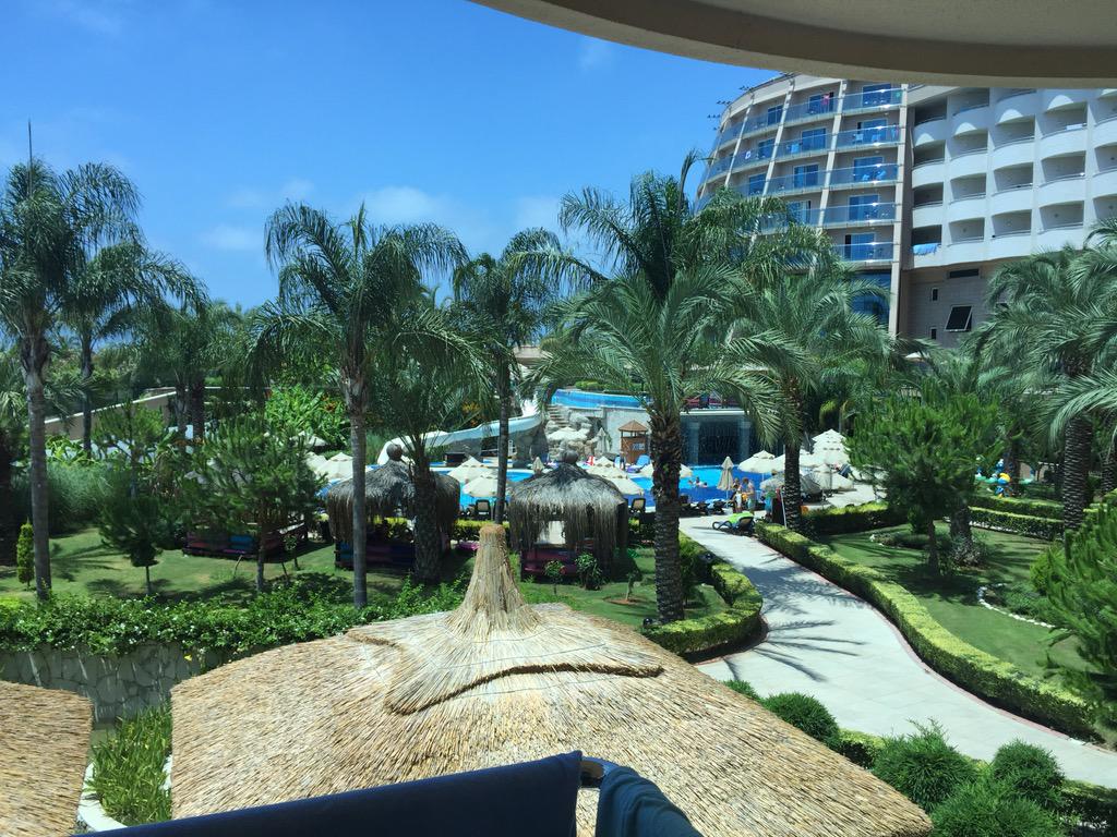 Федор Чертов tweet media