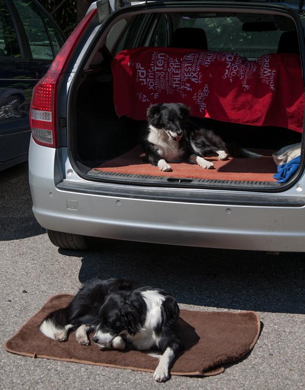 I'm not convinced we're ever going to get rid of our white bits