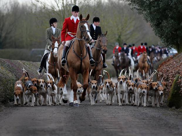 Independent's tweet photo. David Cameron drops plans to relax fox hunting after SNP vowed to defeat government http://t.co/P9ZBZJ2oWz http://t.co/HW52lN8KcF