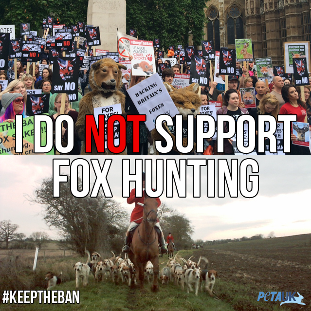 PETAUK's tweet image. We're outside Parliament this morning asking MPs to #KeepTheBan. 
RT and show your support.