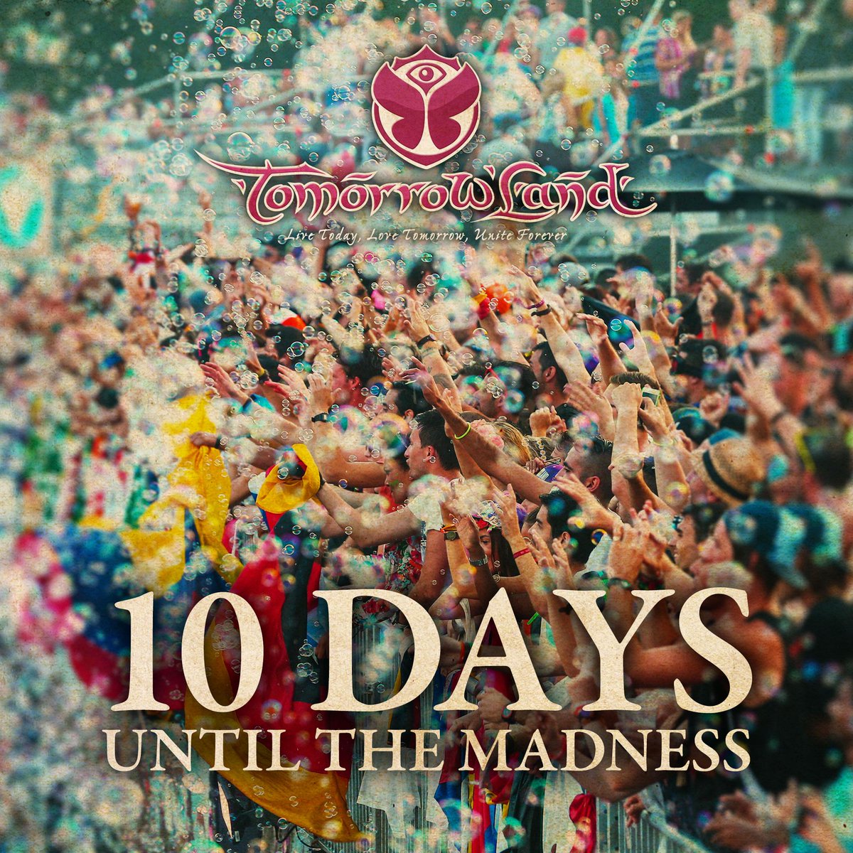 Tomorrowland tweet media