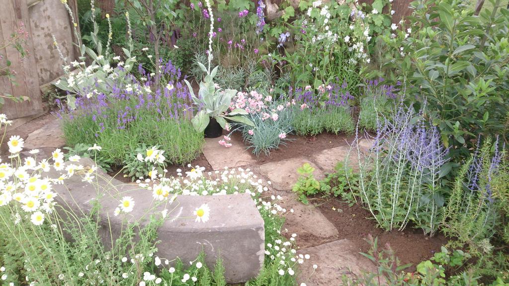 13art_Art's tweet photo. Another busy day planting at #RHSTatton #Adlingtonhall http://t.co/EcSWxrJQC2