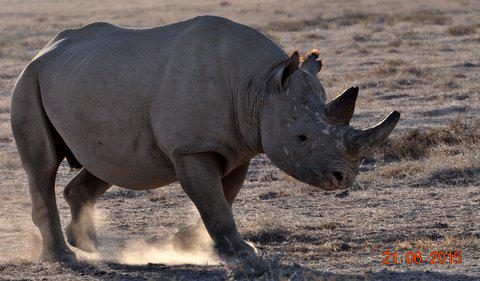 BushnellSA's tweet image. #Trailcamtuesday