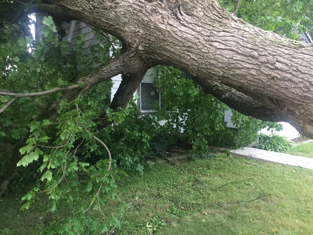 JonahPKaplan's tweet photo. Day 2 after storm still finds streets littered with debris in #ColumbusWI. Trees, power lines down. More on @tmj4. http://t.co/WYzfKp7MGM