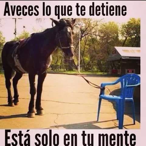 isusko_oficial's tweet photo. Lo que te detiene esta siempre en la mente,tu eres tu peor enemigo...Buenas tardes http://t.co/FrgI7zd1r2
