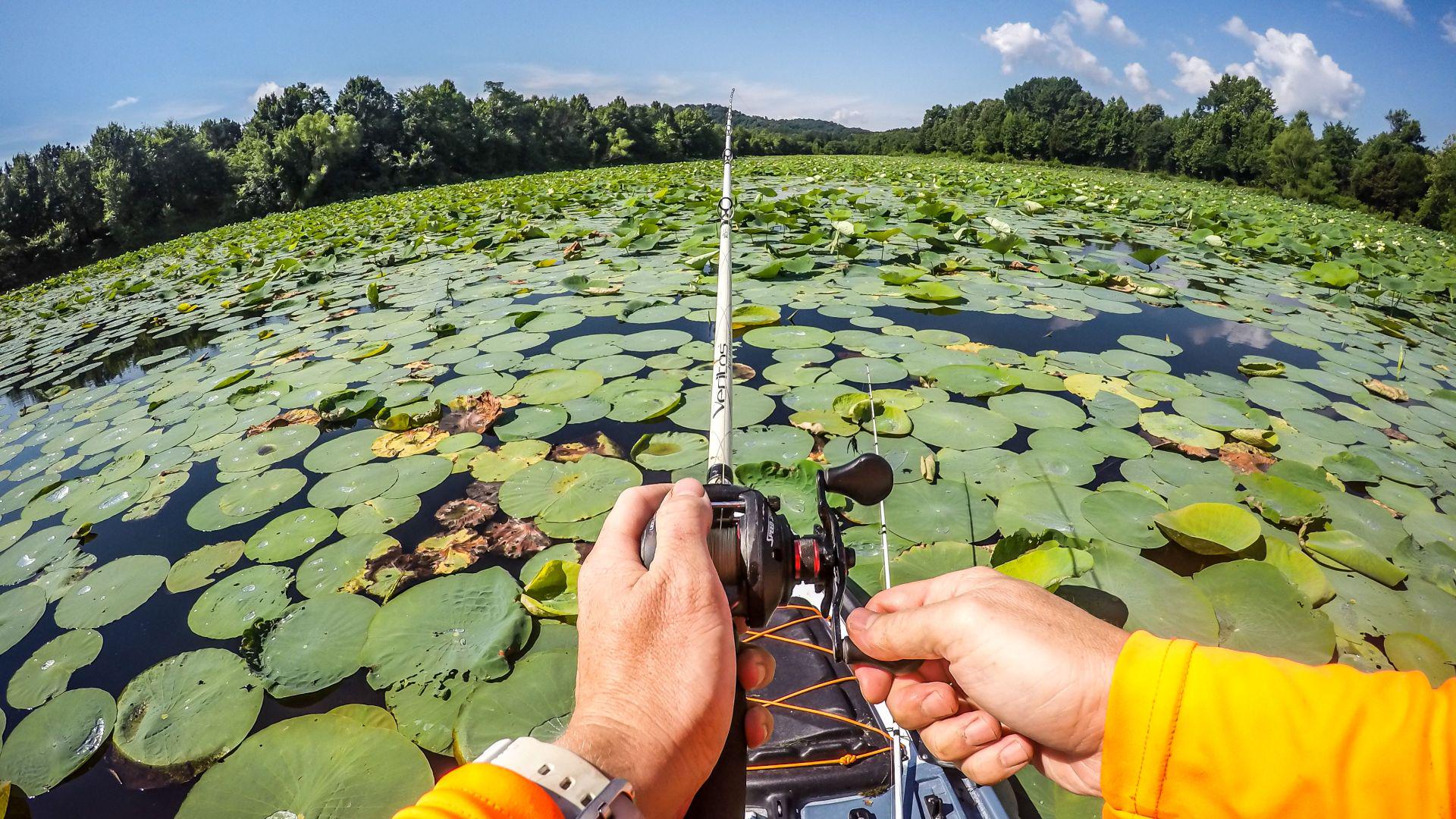 Каяк big Fish. Fishing and Kayaking Alabama. Фиш лью. Lake Guntersville Camping.