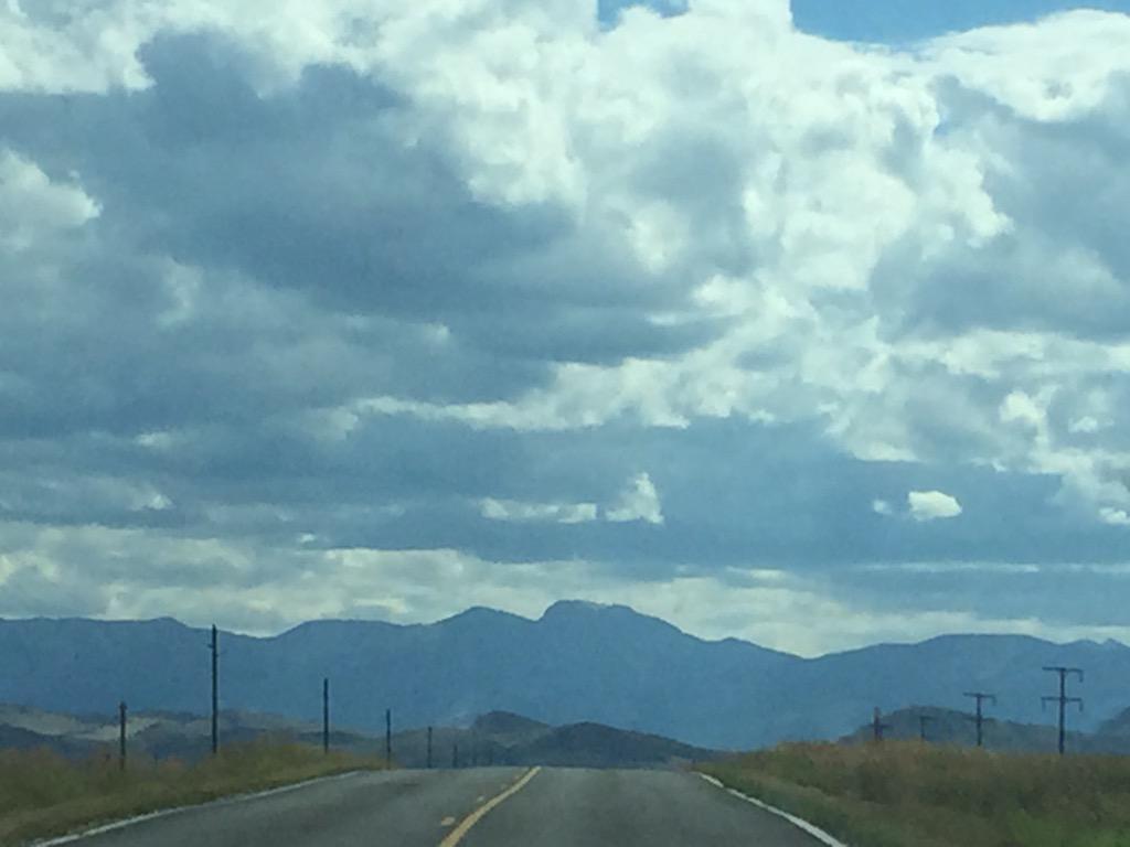 BisonDavis's tweet image. Montana summer