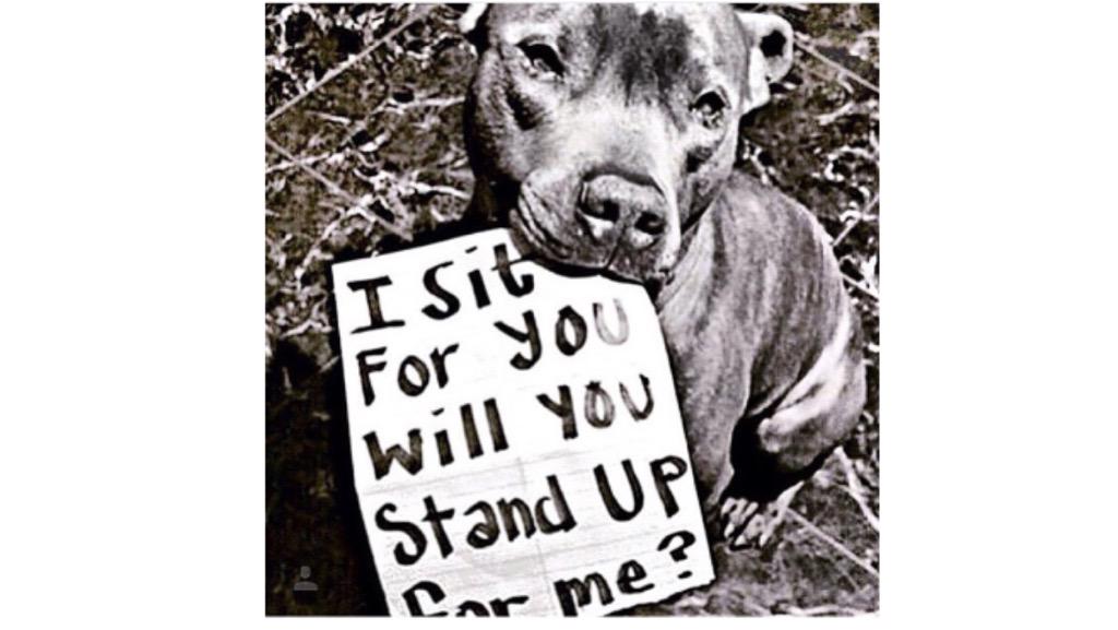 The Phia Foundation tweet media