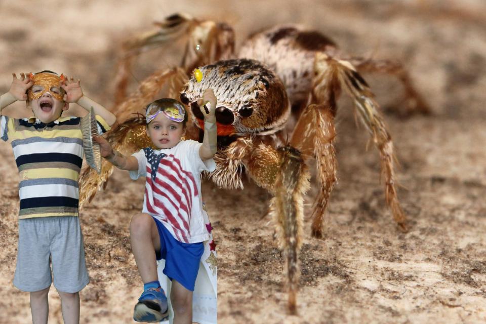 High Touch High Tech tweet media