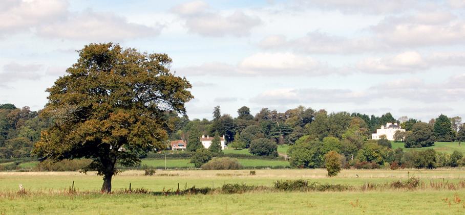 Village_Mags's tweet photo. East Dorset Village Magazine - http://t.co/RaJiBxZKqX
50% sold - Deadline Sept 30th - Distributed Nov 1st 2015 http://t.co/BhY9QgiAXi
