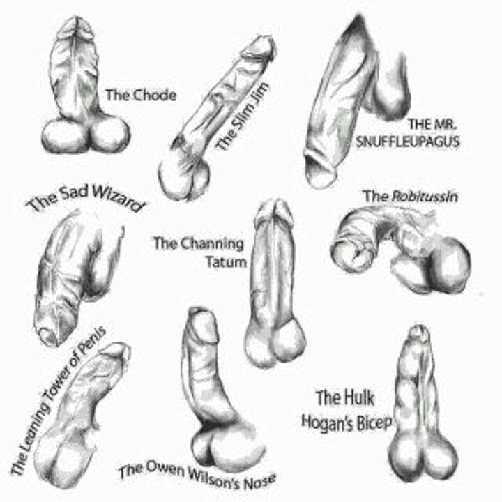 shemale trans gay wasa b c