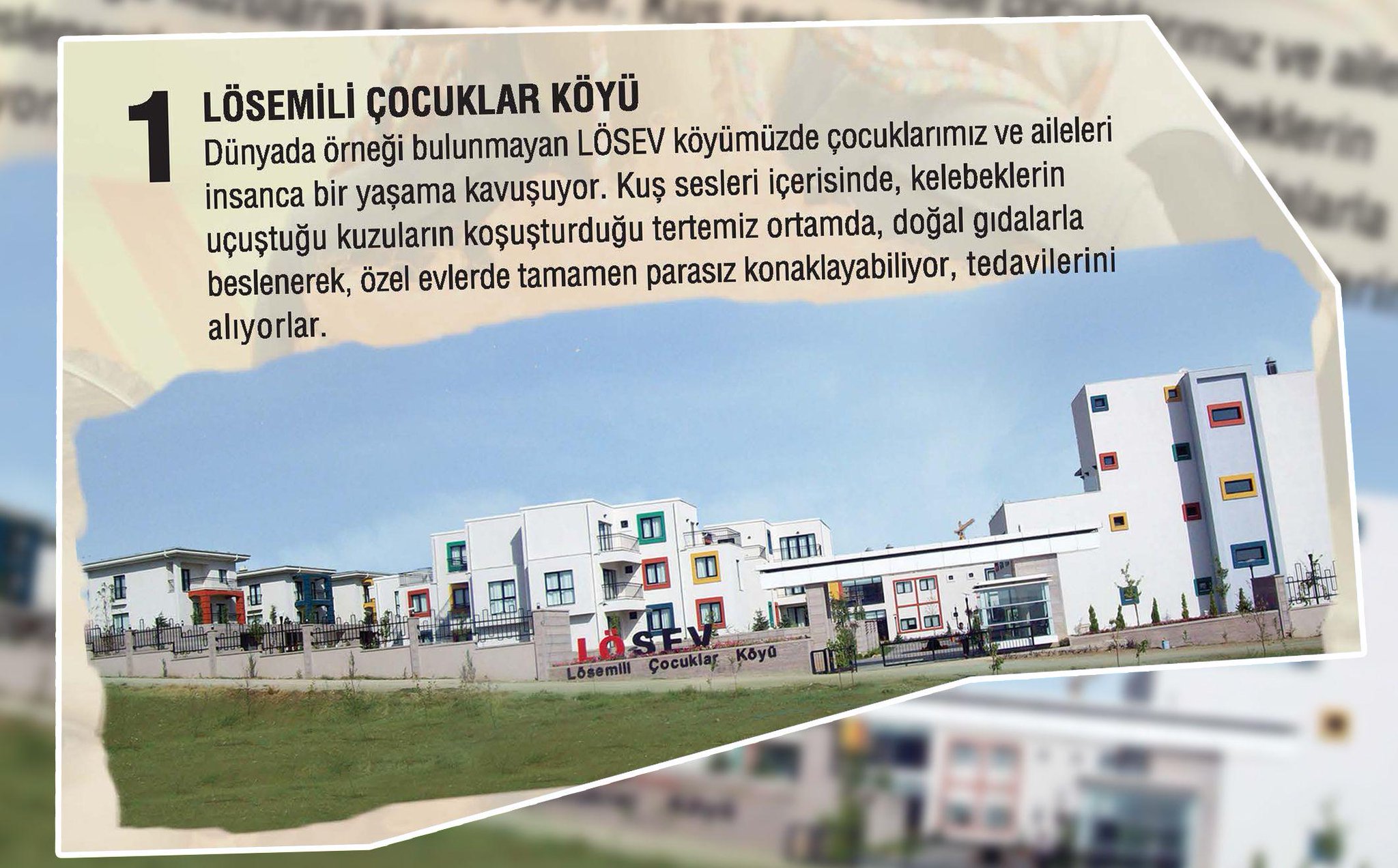 Losev Losemili Cocuklar Vakfi