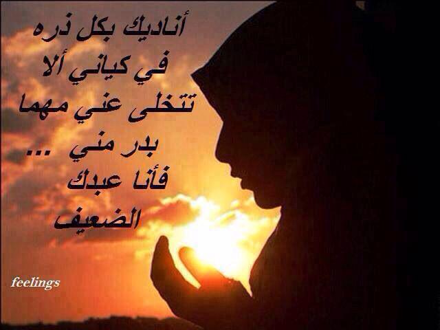 <a href="/shraqalshms2001/">شروق الشمس(ام علي)</a>