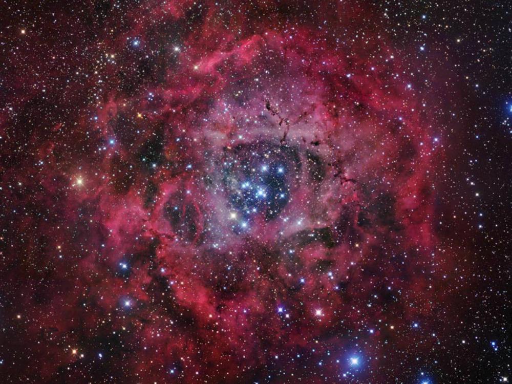 le16be's tweet photo. L’ULg étudie les étoiles massives http://t.co/BK4GzWHx1U http://t.co/dzFMBpcbNi