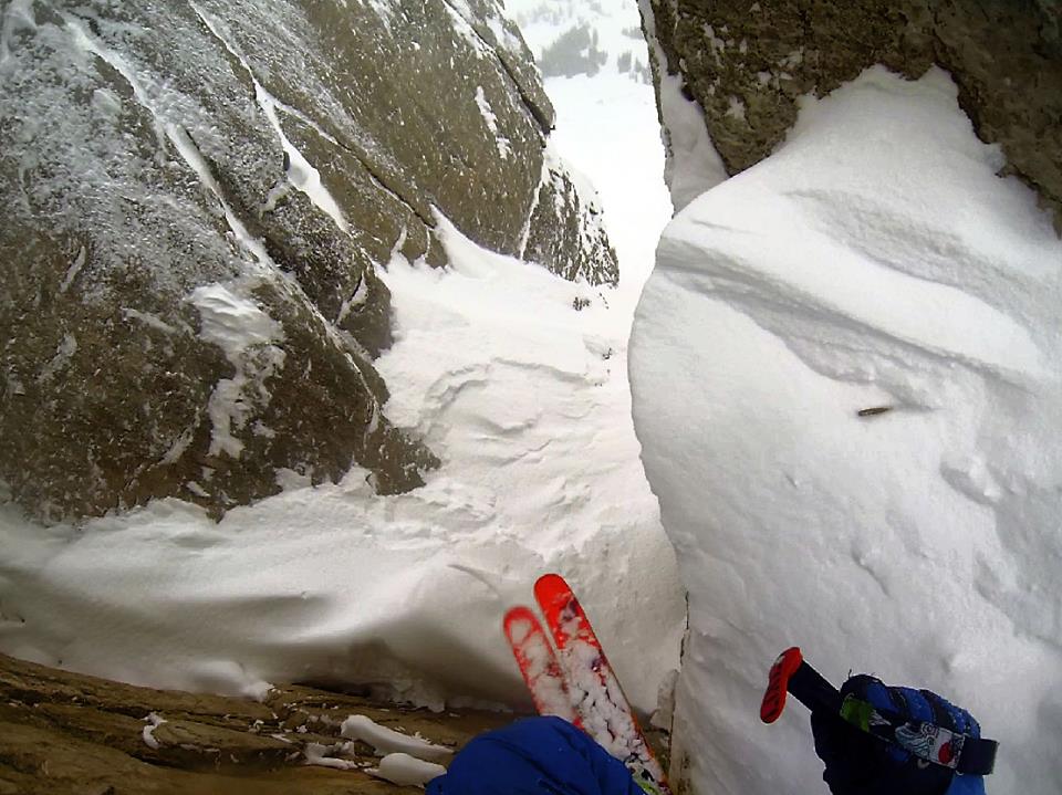 Völkl Skis tweet media