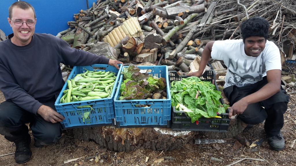 Mooie oogst voor <a href="/voedselfocus/">Voedsel Focus 033</a>