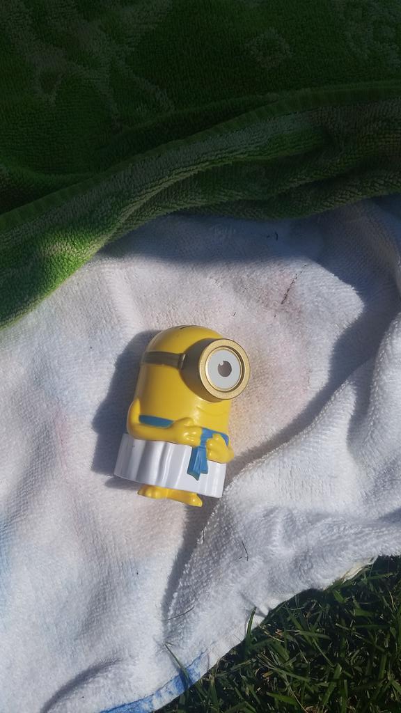 CookseyShelley's tweet photo. Bello.  #MinionDown. http://t.co/WsIBXt9sHB