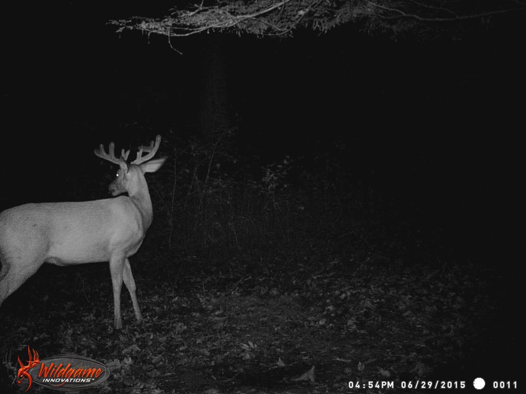 Turkey Hill Outdoors tweet media