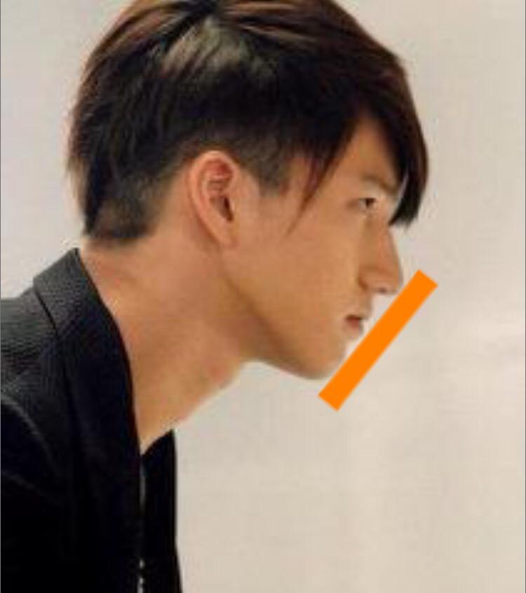 神野紫 Yukari 自分の顔が不細工と客観的に 数値とか形状で測れないかなと思って 美形の基準を調べてたら 顎の先と鼻の先端を結んだ線に唇が触れない人 が美形って書いてあって 自分 は案の定余裕で触れるんだけど 田口くんが見事に美形 Http T Co