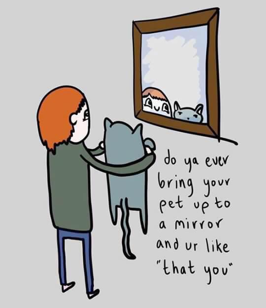 TotallySingle1's tweet image. #singlelife
TotallySingle.com
#relationships #CatsOfTwitter #catlady #love #funny #cats #SingleBecause #single