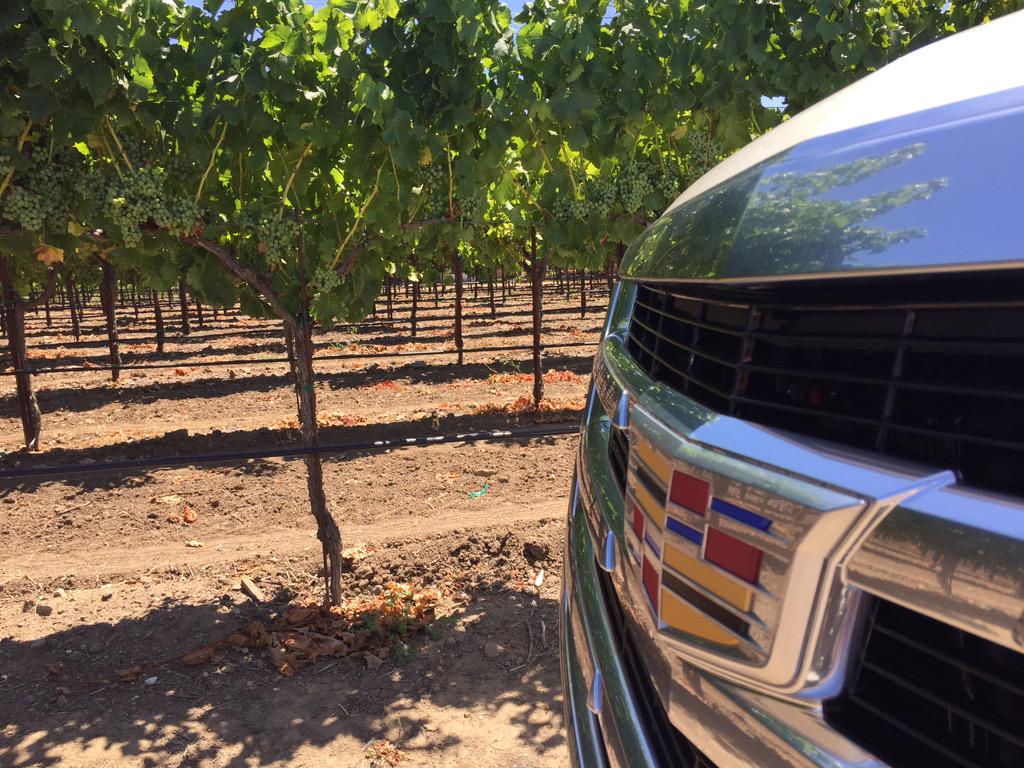 whitneystropp's tweet image. Good wine and great cars! #fscapes #fairmontsonoma #welldriven @LuxuryTravelMom @FairmontHotels
