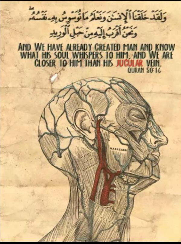 هاشتاق العرب tweet media