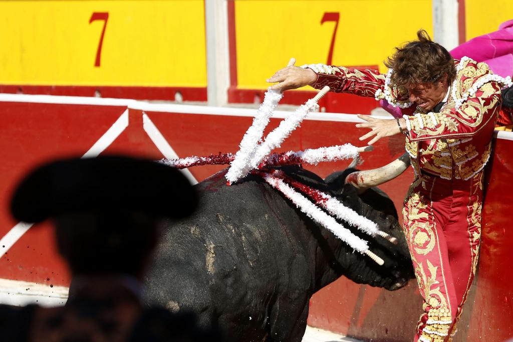 ElMundoToros's tweet photo. San Fermín | Manuel Escribano se la juega con los miuras, por @zabaladelaserna http://t.co/072LVcOWk0 vía @elmundoes http://t.co/tTANU5bgQC