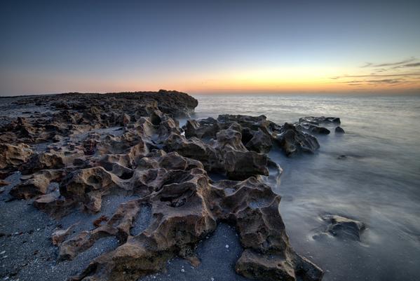 savingoceans's tweet photo. Our #JulyPhotoContest ends tomorrow! We are loving all submissions! Here's another taken by @Hockeyman55 in FL :) http://t.co/o8OOlhp0Dk