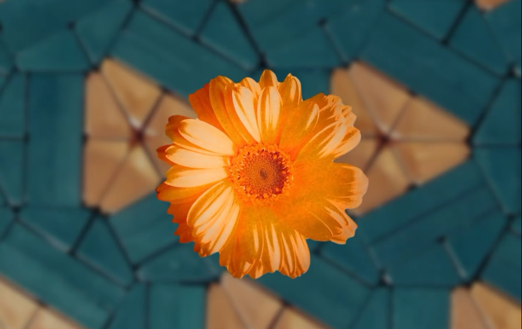 Thrd_Coast's tweet photo. VIDEO: Watch this cheeky, psychedelic animated video for @steady_sun_'s "Irises" #BK #Queens http://t.co/GYT0OaXlbn http://t.co/QnxEYne2ID