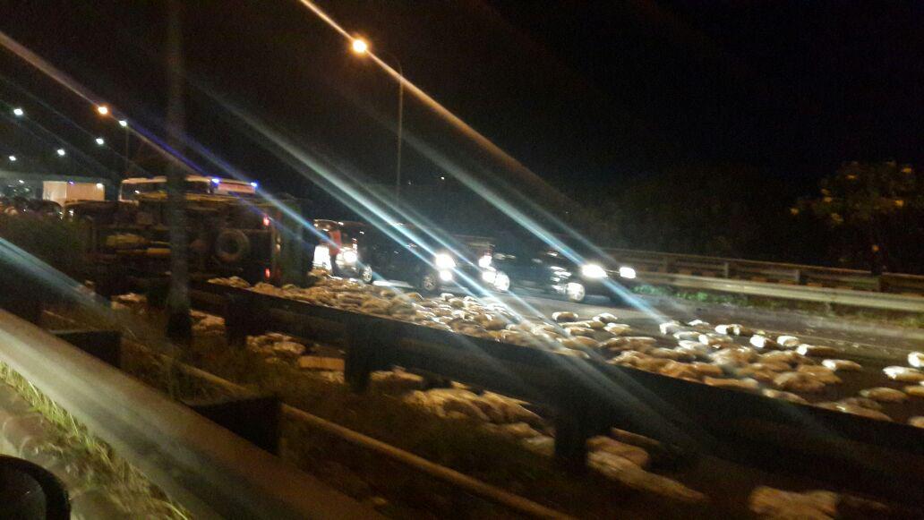 Kecelakaan ... truk terbalik di km 37 tol jatiwarna blom ada penanganan petugas