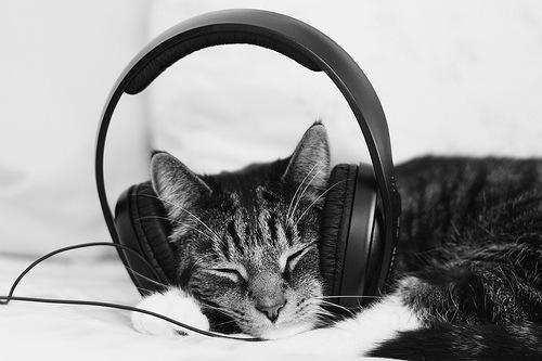 Got a busy week? Stop, put on headphones. Like this guy. Take a break. Soak. Listen here: buff.ly/1CBhjhp