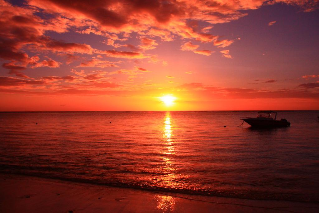 SafeRelease's tweet image. Time to go #fishing #capecoral #matlacha #pineisland #sanibel #grouper