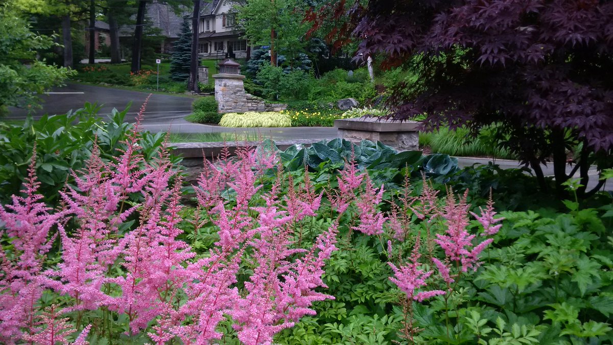 boslandscaping's tweet photo. Mid summer garden colour. We would love to create and maintain this for you. http://t.co/ErYG0L3uE2