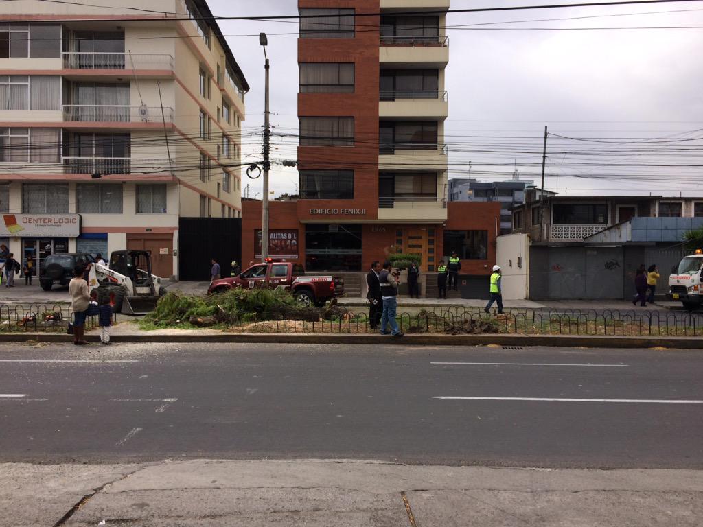 fabojoga's tweet photo. @teleamazonasec http://t.co/nEzw9s7Pp6