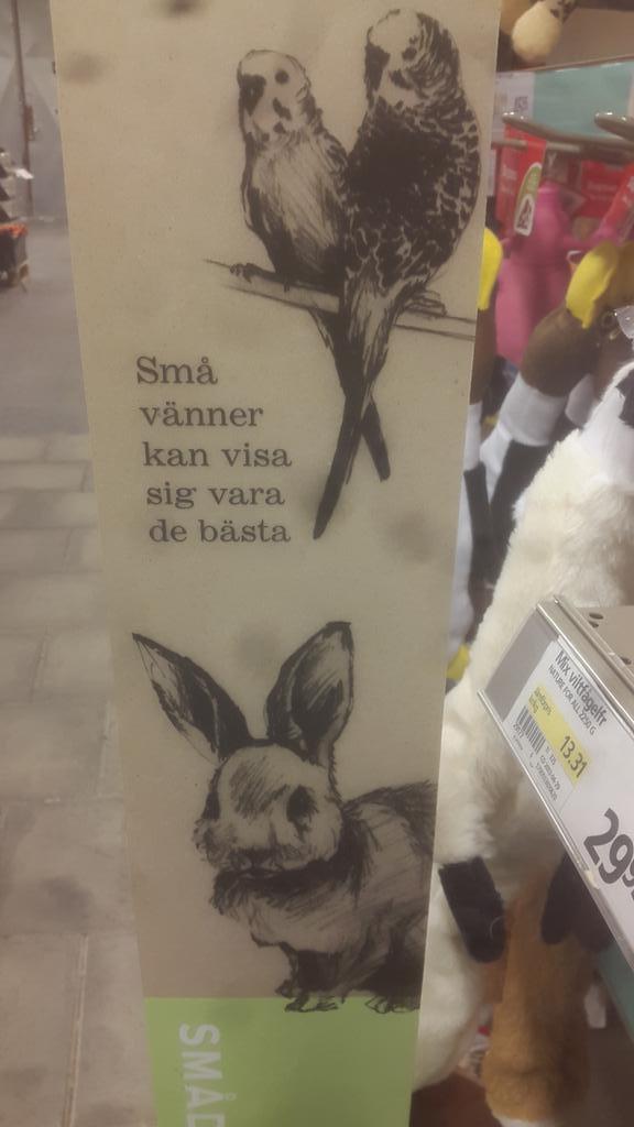 DanielSandstrm's tweet photo. Snövit hade alltså dom bästa kompisarna man kan ha? http://t.co/IFWq3wdfuZ