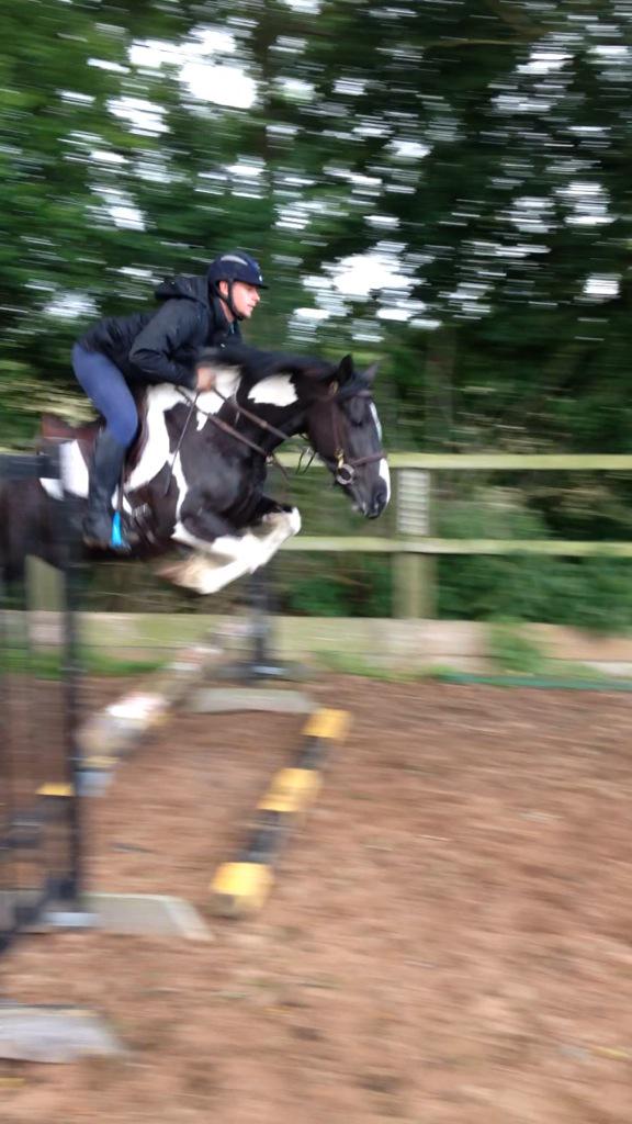 JossWilliams5's tweet photo. Deliver Jessie to her new home!! #happyponies http://t.co/jReJkBAOai
