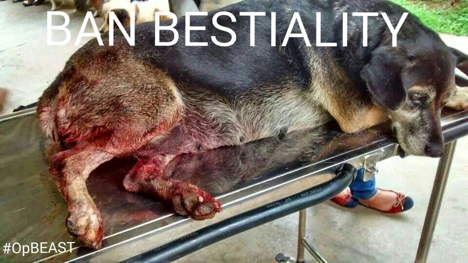 What chance do Animals hv against humans? Sick ppl &amp;their clever ways #StopAnimalCruelty  #OpBEAST #WoofWoofWednesday