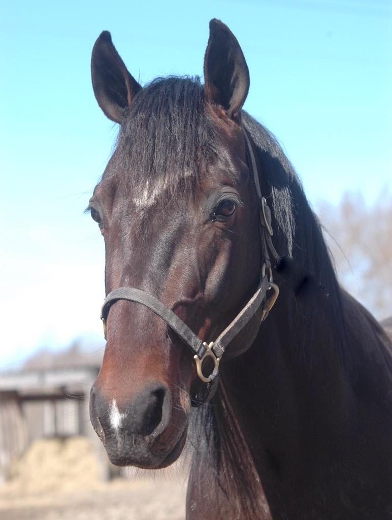 Ses på fredag 🔫🔫