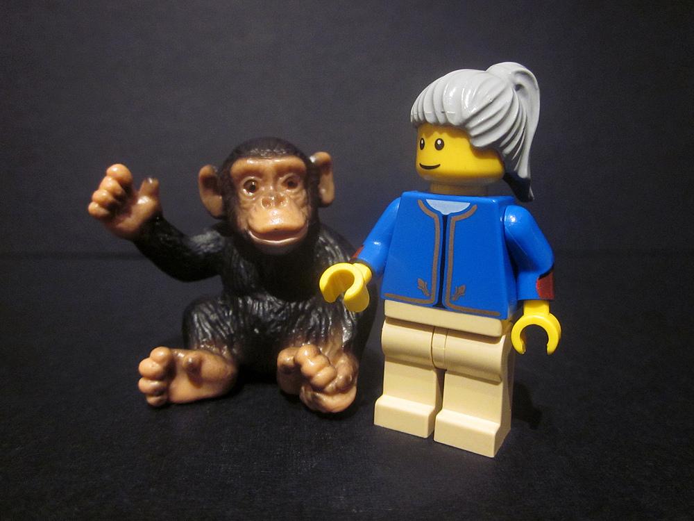 20tauri's tweet image. Congrats to the legendary #JaneGoodall on 55 yrs of chimp research! goo.gl/CEEjXl @JaneGoodallInst #Gombe55