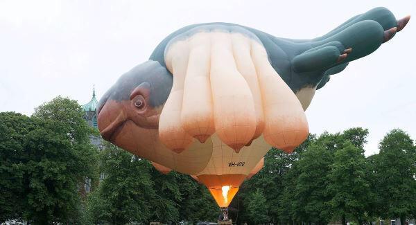 Just spotted <a href="/theskywhale_/">The Skywhale</a> at the Claddagh in Galway,part of the <a href="/GalwayIntArts/">Galway International Arts Festival</a> festival.
It's got people talking.