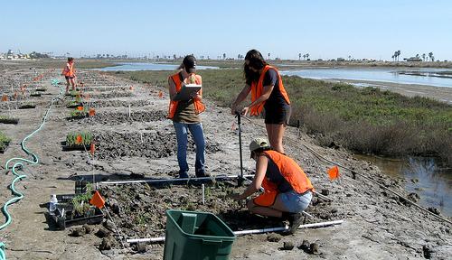 USDA_NIFA's tweet photo. .@CalState: Training the next generation of watershed managers to fight #drought http://t.co/AX5E9lBhgl #NIFAimpacts http://t.co/ndqtIQdseP