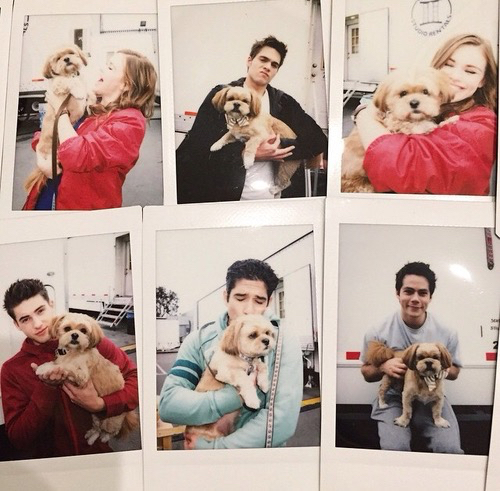 GoslingOBrien's tweet photo. Going on holiday for a month without Wifi. I'm going to miss all you wolfies ❤️️@ellestilinski24 @MerySkyDylan http://t.co/BmifpKG9CC