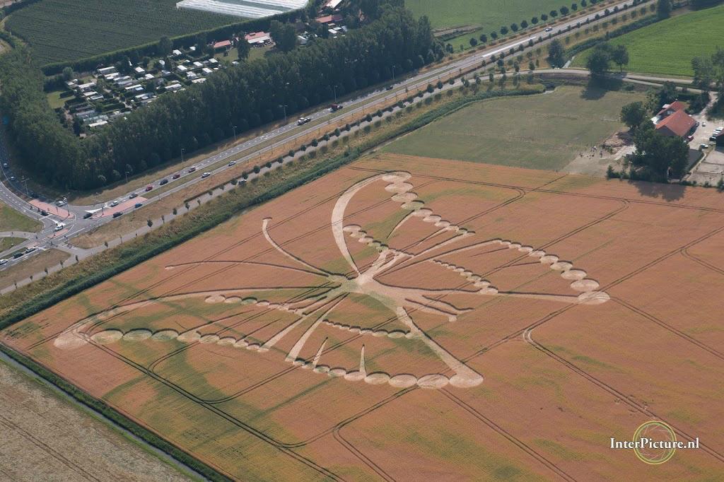 ZierikzeeTweets's tweet image. Link naar meer pictures kindergraancirkel #Zierikzee van @InterPicturenl staat nu op: Zierikzee-Monumentenstad.nl .      .