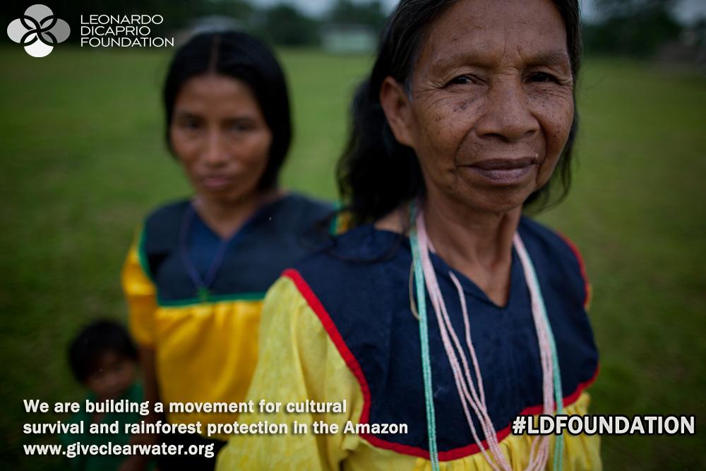 GiveClearWater's tweet photo. Thanks @LeoDiCaprio for supporting the movement to protect the Amazon rainforest #LDFoundation http://t.co/ihLxnmNbNE http://t.co/x1w4CxxfA1