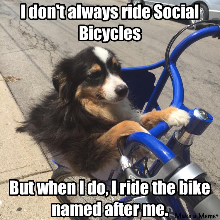 Cruising in #HamOnt on <a href="/SoBiHamilton/">Follow @HamOntBikeShare</a>, we found the bike <a href="/k8whalen/">Kate Whalen, PhD</a> named after her dog! Hilarity ensued. #CuteOverload