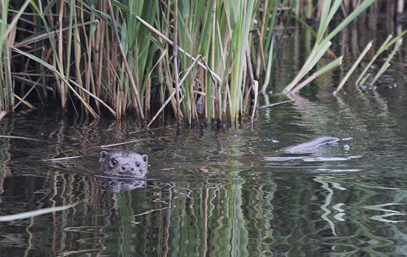 Ik zag vanavond een mooie reden om mijn Twitter-account nieuw leven in te blazen!