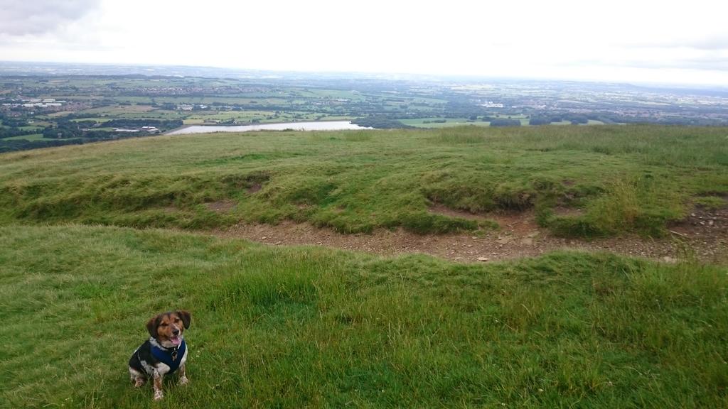Steff Barker (@SteffyBarks) / Posts / X