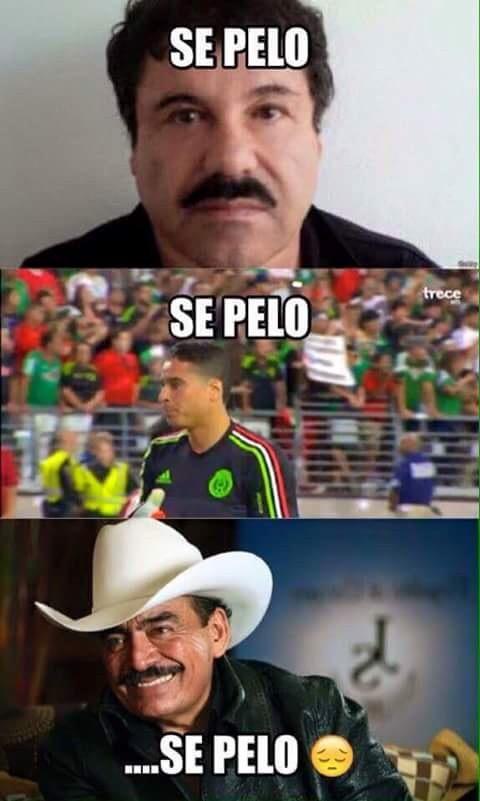 LeonardoMarker's tweet photo. Tres casos distintos... ¡Pero la misma historia! #SePelo 😂😂😂😂 http://t.co/BxvocQrYOo