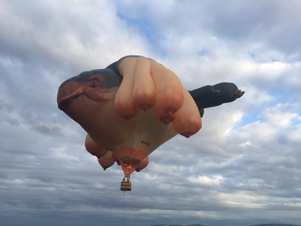 Such a great sight in The Claddagh this evening! #Galway #SkyWhale thank you <a href="/theskywhale_/">The Skywhale</a> <a href="/GalwayIntArts/">Galway International Arts Festival</a> <a href="/galway2020/">Galway 2020</a>